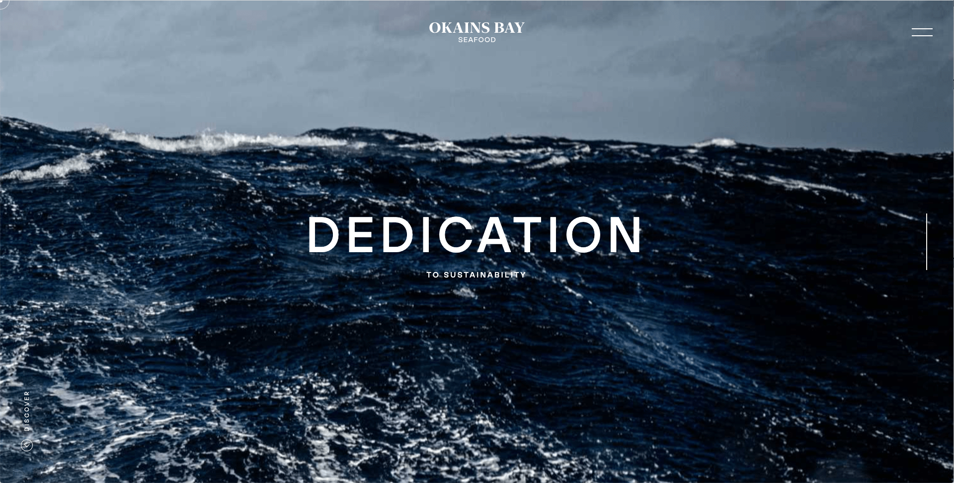 website coder eugene