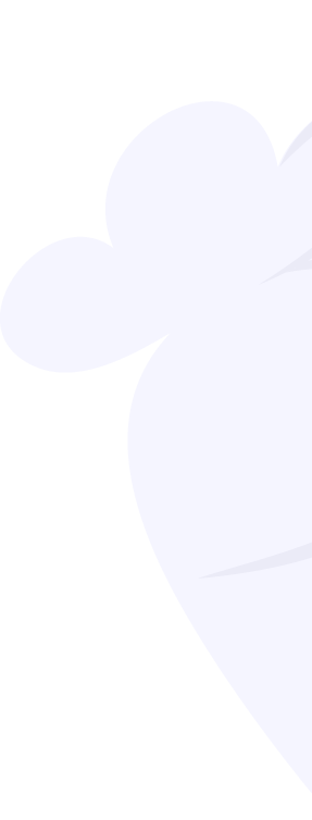 hire a web developer consultant