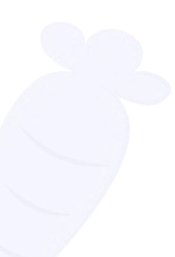 web developer freelancer